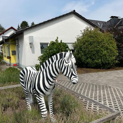 Zebra 1