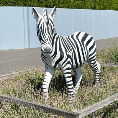 Zebra 2